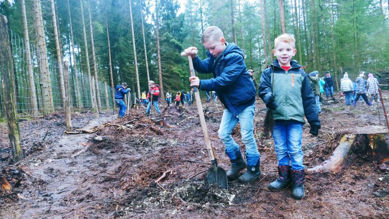 Voor elk groepslid een boom!