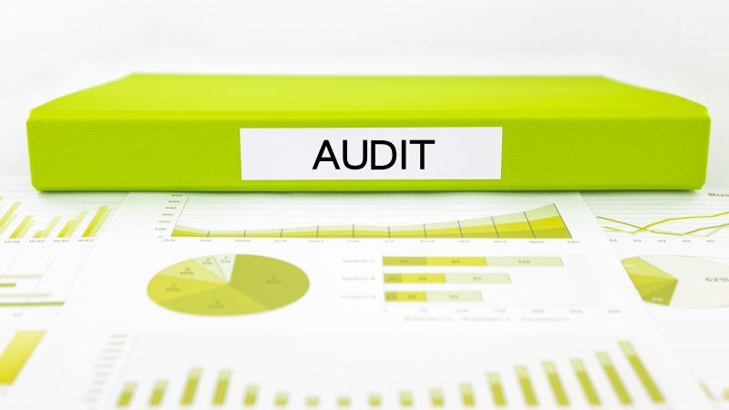 NEPCon voert audit uit bij IEB