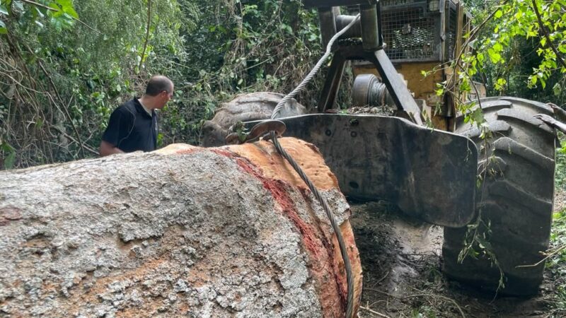 EUTR audit in Ivoorkust